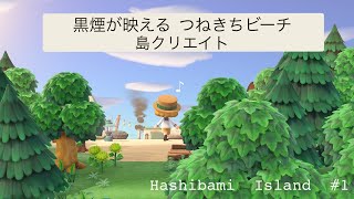 【あつ森】今日つねきち来てるやん！テンション上がるビーチの島クリエイト