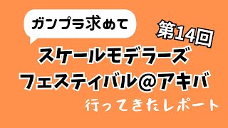 【モデフェス】秋葉原で行われた第14回スケールモデラーズフェスティバルに行ってきたら凄いレアキットを見られた【アキバ】