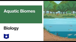 Aquatic Biomes | Biology
