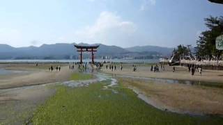 20100417到達嚴島神社囉，因是退潮大家都下去走~