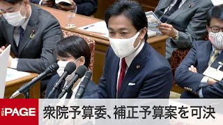 【国会中継】衆院予算委　首相ら出席し質疑、補正予算案を可決（2020年4月29日）