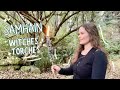 How to Make Witches Torches and Celebrate Samhain | Wheel of the Year