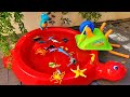 SEA ANIMALS FOR TODDLERS - NAMES AND VIDEOS