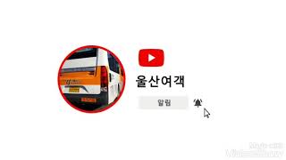 울산216번주행영상 신정시장~태화루사거리까지