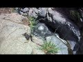 cliff jumping