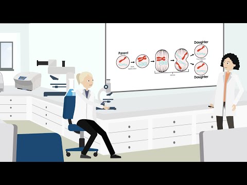 What will happen if mitosis will go wrong?