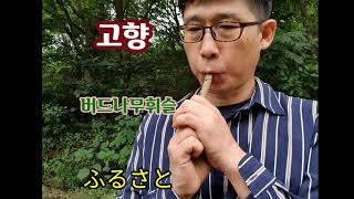 버들피리만드는방법(휘슬), 고향(ふるさと)연주 how to play willow whistle