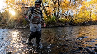 Nonstop November Trout on the Boise River (and how to catch them)