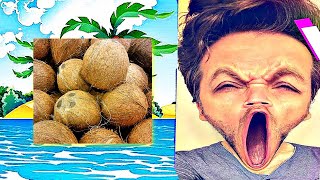 Jay Refutes Atheist using Coconuts