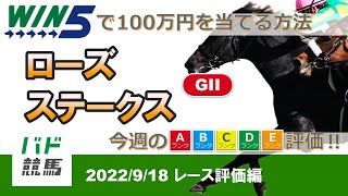 【WIN5で100万円：レース評価編】 2022年9月18日（日）ローズステークス