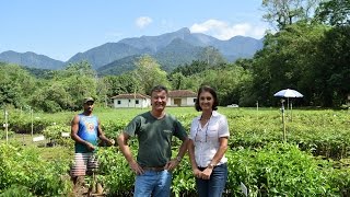 Reserva Ecológica de Guapiaçu (REGUA), conheça e se encante