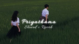 Priyathama - ( Slowed + Reverb ) || Kotha Kothaga || Sid Sriram || Telugu Songs
