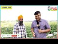 खरबूजा की उन्नत खेती से ताबड़तोड़ कमाई commercial muskmelon farming kharbuja ki kheti double profit🤑