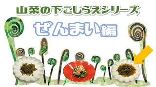 【山菜の下ごしらえシリーズ】②ぜんまい編