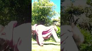 Requested jump tutorial! #therian #fox #therianthropy #antizoo #quadrobics #jump