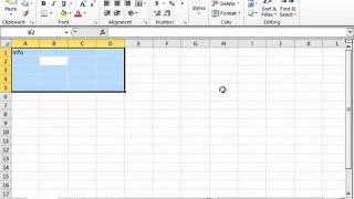 Excel 2010 Tutorial Ranged Data Entry Microsoft Training Lesson 3.2