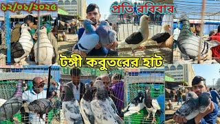 অস্থির কবুতর উঠেছে টঙ্গী কবুতরের হাট || Tongi Best Biggest Pigeon Market Bangladesh