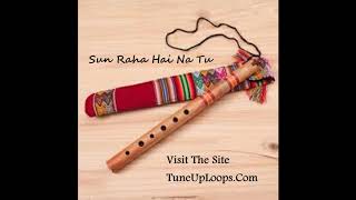 Download New Latest Flute Ringtones | Daspacito Flute Ringtone | Moh Moh ke Dhaage