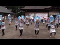 すずめ連　きらら　どんとロード八幡仙臺雀踊り2015