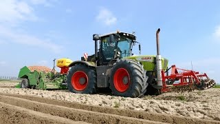 Planting potatoes using a 380 HP Claas Xerion 3800 \u0026 Miedema CP42 cup planter | NIVU Achthuizen