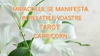 🤍 UNIUNE CU DUMNEZEU 🤍 CAPRICORN 🤍RELATIA PERFECTA 🤍 MIRACOLUL SE MANIFESTA IN RELATIILE VOASTRE 🤍