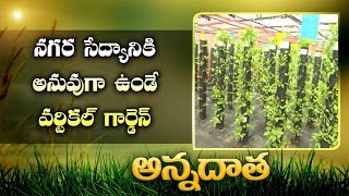 Vertical Gardening with Green Leaves | @ Hyderabad's Centre of Excellence || ETVAnnadata