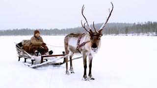 Magical Finland Sleigh Ride! | Reindeer Family and Me | BBC Earth