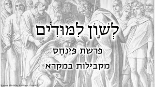 לשון לימודים 42 - פרשת פִּינְחָס: מקבילות ספרותיות במקרא