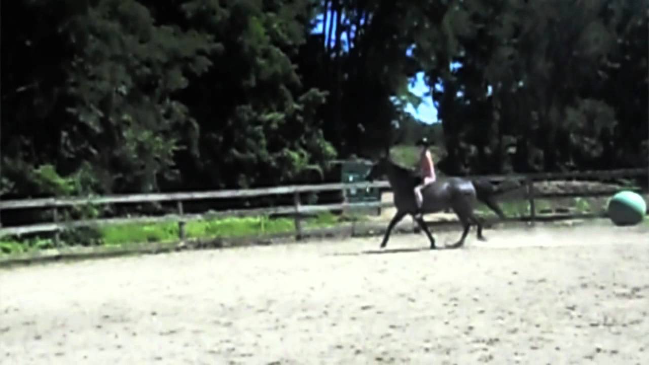 How To Ride Bareback Youtube