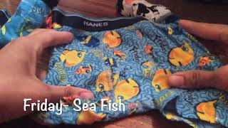 Hanes Boxer Briefs  Underwear Toddler Boys 2T 3T Unboxing Pre Review