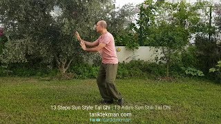 13 Steps Sun Style Tai Chi - Tarık Tekman