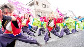 [4K] 京都よさこい連 心粋　瑞浪バサラカーニバル 2024（バサカニ） 公園通線南会場 (北側)