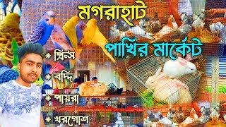 মগরাহাট পাখির মার্কেট । Magrahat Pet Market । Magrahat Pigeon Market । Magrahat Pakhi Bazar।