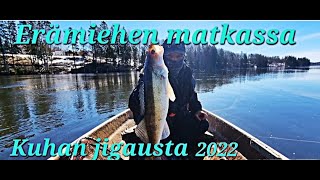 Kuhan jigausta keväällä|Kymijoki|ruoka kalaa pöytää| @eramiehen matkassa