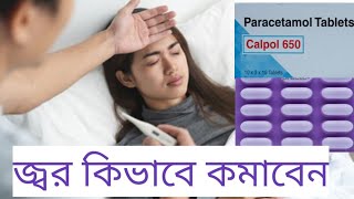 Calpol 650 tablet uses