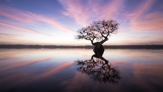 Stunning Photos of the Endangered Everglades | Mac Stone | TED Talks