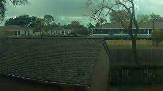 Backyard Timelapse 20250105