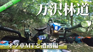 【万沢林道#2】こんなでかいオフ車でも来れるんかい！？【モトブログ】