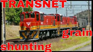 TRANSNET freight rail: Diesels Shunter Locomotives at OOSTERZEE