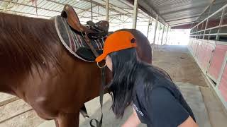 California Rangers: How to saddle a horse using a McClellan saddle