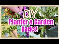 DIY PLANTERS & GARDEN HACKS with FREE & DOLLAR TREE Supplies!