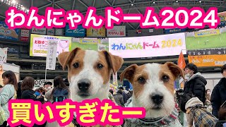 【大型イベント】わんにゃんドーム2024に行って爆買いしてきた！