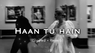 Haan Tu Hain (Slowed + Reverb) K.K. | Am.sarxesh