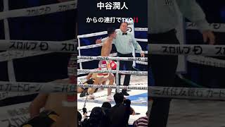 中谷潤人 強烈なワンツー‼️からの連打でTKO‼️