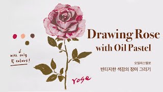 🌹오일파스텔로 빈티지한 색감의 장미 그리기 🌷  | Drawing Rose with Oil Pastel