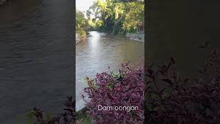 Dam Oongan, #water#dam#bali#growyourchannel#denpasar