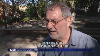 Les villes d'Occitanie et l'Occitan : Episode 1 Aureville (31)