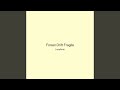 Forest Drift Fragile