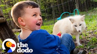 Mom Helps Son Befriend Rescue Fox | The Dodo