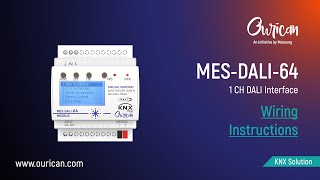 MES-DALI-64 | Wiring Instructions | Messung Ourican | #OuricanAutomation